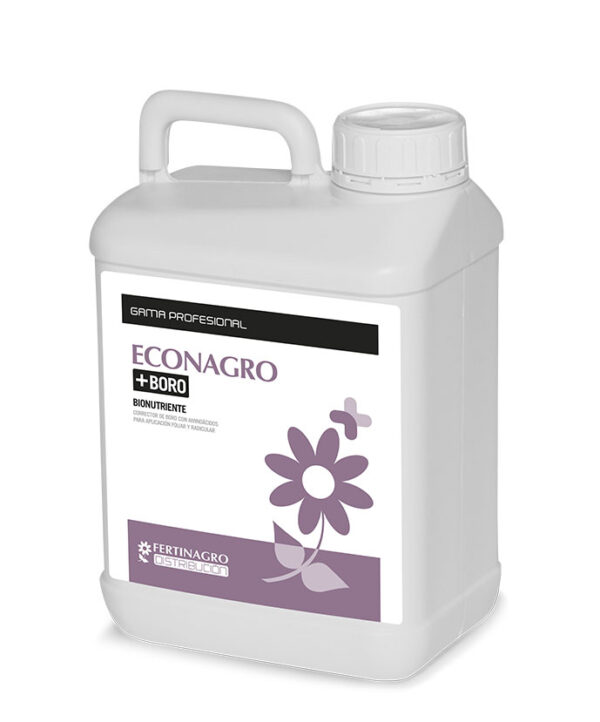 render-econagro+boro
