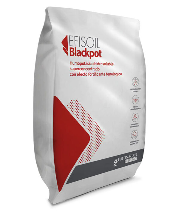 render-efisoil-blackpot