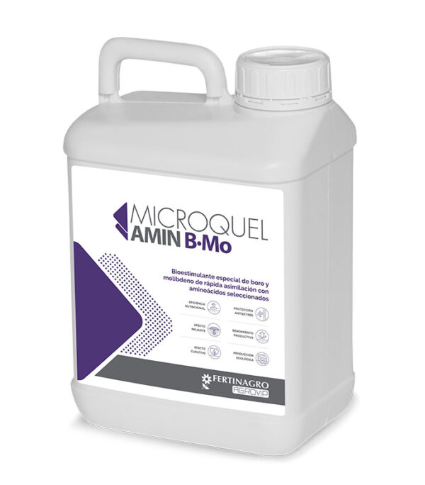 render-microquel-amin-bmo