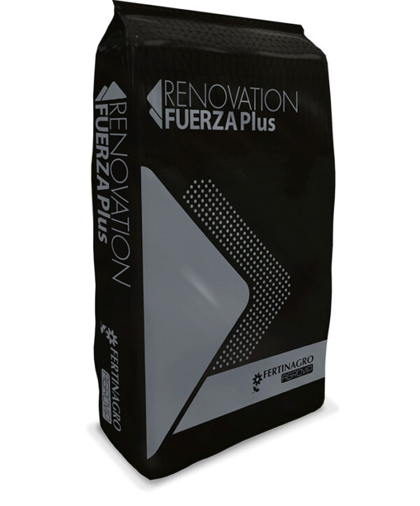 render-renovation-fuerza-plus